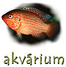 chovatelia rybi�iek
