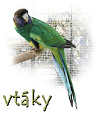 chovatelia vt�kov