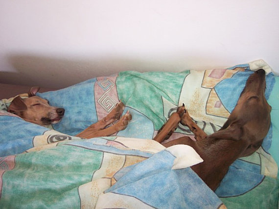 Jana Reptov�: Trochu oddychu neza�kod�: Jana Reptov�: Trochu oddychu neza�kod�