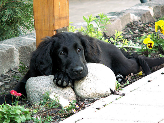 Katka: Tu sa mi dobre odpova