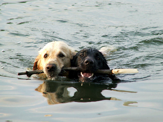 Katka: Na n�s sa m��e� spo�ahn��!