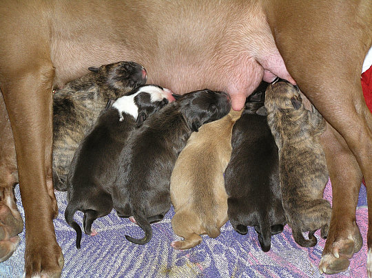 Sa�ka: U� m�me dva dni