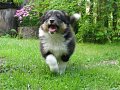 I am happy
