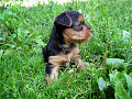 Prvn� proch�zka