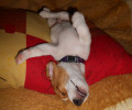 N Edy relaxuje. :-)