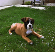 N Athos
