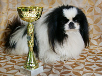Severnaya Zhemchuzhina FanFan