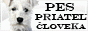 https://www.psickovia.sk