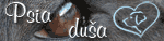 www.psiadusa.szm.sk